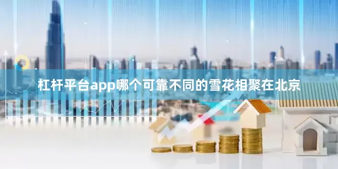 杠杆平台app哪个可靠不同的雪花相聚在北京
