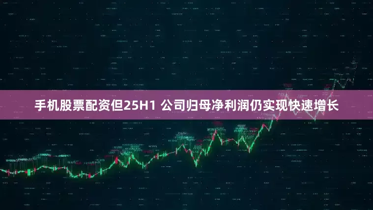 手机股票配资但25H1 公司归母净利润仍实现快速增长
