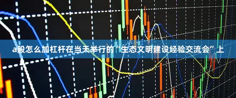 a股怎么加杠杆　　在当天举行的“生态文明建设经验交流会”上