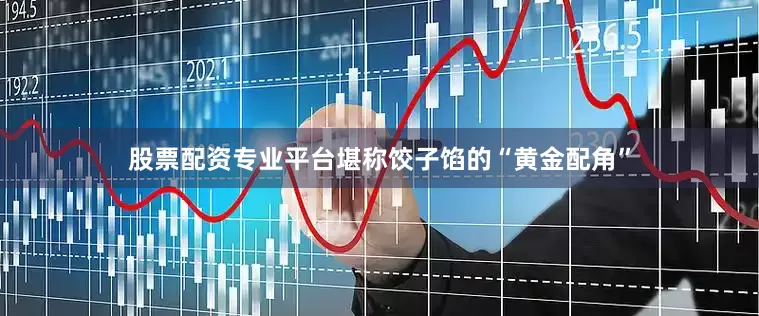 股票配资专业平台堪称饺子馅的“黄金配角”