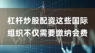 杠杆炒股配资这些国际组织不仅需要缴纳会费