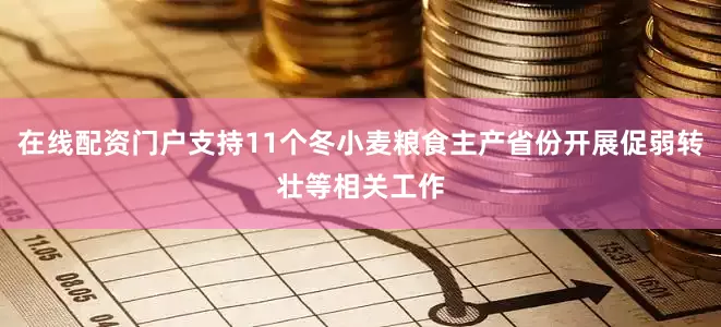 在线配资门户支持11个冬小麦粮食主产省份开展促弱转壮等相关工作