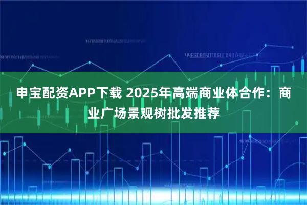 申宝配资APP下载 2025年高端商业体合作：商业广场景观树批发推荐