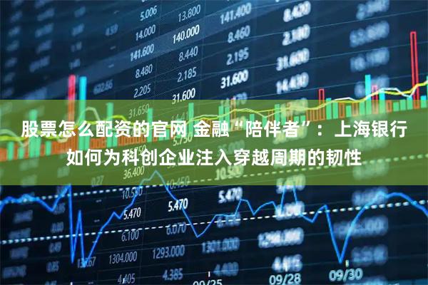 股票怎么配资的官网 金融“陪伴者”：上海银行如何为科创企业注入穿越周期的韧性