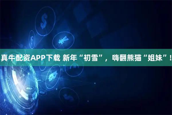 真牛配资APP下载 新年“初雪”，嗨翻熊猫“姐妹”！