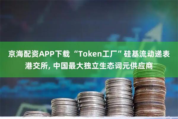 京海配资APP下载 “Token工厂”硅基流动递表港交所, 中国最大独立生态词元供应商